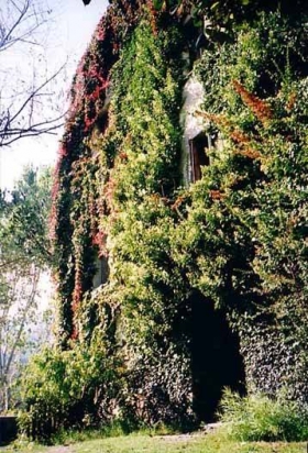 Gîte rural 'Les tours de tèvola' à Carcheto
