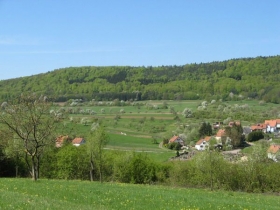 Gîte rural 'Gîte nature le rucher en alsace' à Wingen sur lembach