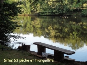Maison / Villa 'Les 2 siamois gite 63' à Lapeyrouse