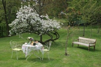 Chambre d'hôte 'La maison des cool heures' dans le Val d'Oise