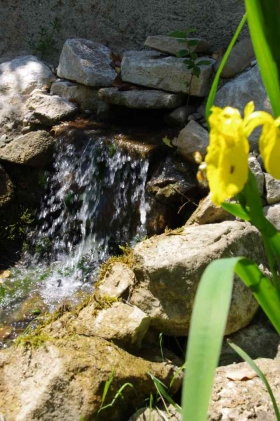 Chambre d'hôte 'Domaine la source des fées' à Fuissé