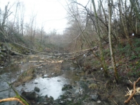 Chambre d'hôte 'La Ferme du Pont des Aulnes' à Les mazures