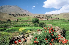 Chambre d'hôte 'Vallée des Ait Bougmez au maroc, maison d'hôtes et gite de charme bougmez' à Zawyat oulmzi. tabant. azilal