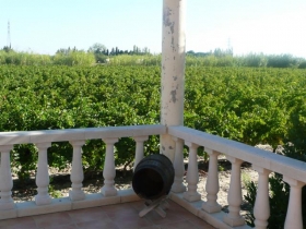 Gîte rural 'Le mas louis gites ruraux au coeur de 6 hectares de vignoble' à Saint laurent de la salanquer