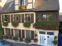 Gîte rural 'Gite du vignoble' à Barr