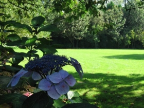 Gîte rural 'Au domaine des camélias' à Plumeliau