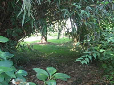 Gîte rural 'Au domaine des camélias' à Plumeliau