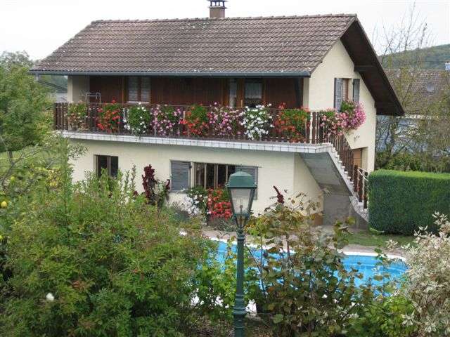 Le ruisseau fleuri