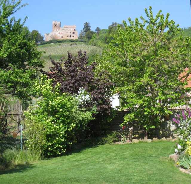 Photo Gîte rural Kintzheim Les gites du relais des vignes