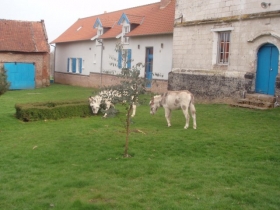Gîte rural 'Ferme de Caubert' à Mareuil-caubert par abbeville