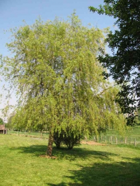 Gîte rural 'La bergerie du festel' à Oneux (80135)