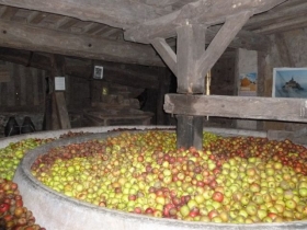 Chambre d'hôte 'La ferme du pressoir' à Conteville