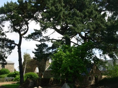 Maison / Villa 'Maison de caractère, 6/7 personnes, jardin et cheminée, à Port-Blanc' dans les Cotes d'Armor