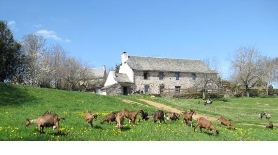 Chambre d'hôte 'La fenadou' à Le cayrol