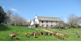 Chambre d'hôte 'La fenadou' à Le cayrol
