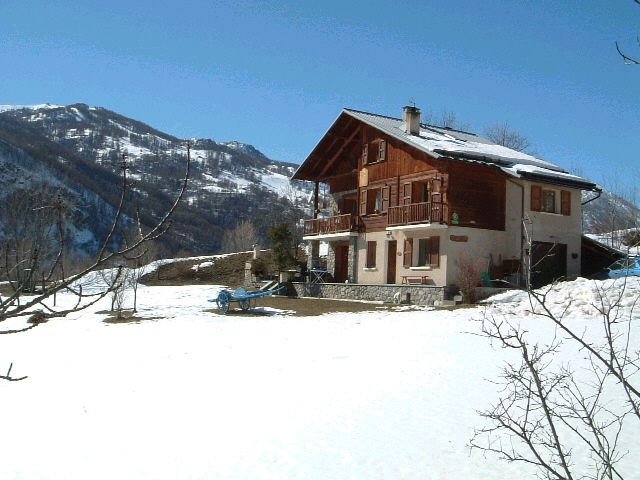 Photo Gte rural Saint-chaafrey Le chardon bleu