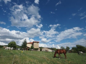 Chambre d'hôte 'Le relais des baronnies' à Vaucluse haute montjay