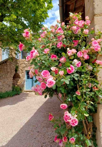 Chambre d'hôte 'La maison d'emile' à La fouillade