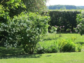 Chambre d'hôte 'La Cotinière Anjou Saumur' à Grezille