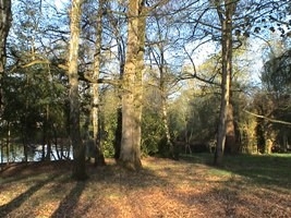 Chambre d'hôte 'Gloria martins' à Pierrefitte sur sauldre