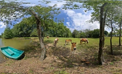 Chambre d'hôte 'Maison d'hote antzika' en Pyrenees Atlantiques