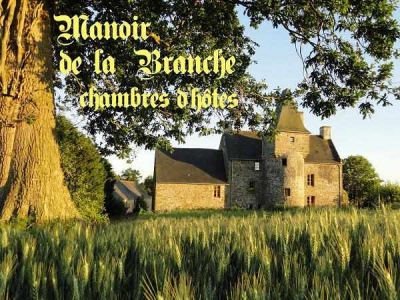 Château 'Manoir de la Branche' à Fougères