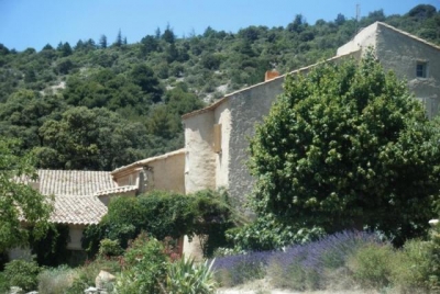 Chambre d'hôte 'Domaine de pierravon' à Bédoin