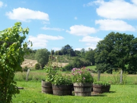 Chambre et table d'hôte 'Les apres' à Appenai sous belleme