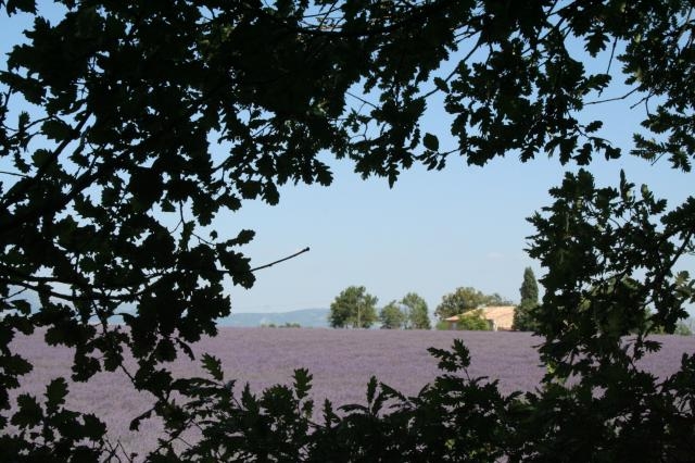 Chambre d'hôte 'Au bois de lune' à Varages