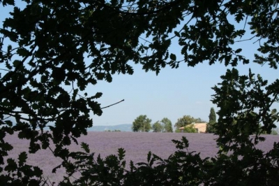 Chambre d'hôte 'Au bois de lune' dans le Var