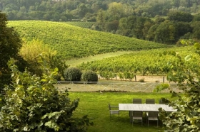 Chambre d'hôte 'Domaine de la soucherie' à Beaulieu sur layon