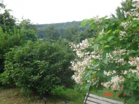 Chambre d'hôte 'Les chambres de la nied' à Condé northen