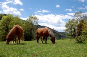 Gîte rural à Vallfogona de ripollès