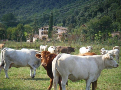 Gîte rural 'El Molí d'en Solà' en Girona
