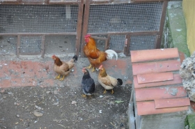 Gîte rural à Llers