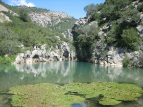 Chambre d'hôte à El colmenar -cortes frontera