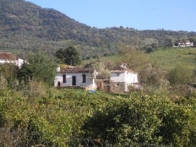 Chambre d'hôte à El colmenar -cortes frontera