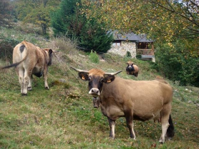 Gîte rural 'Souleilo' à Erce