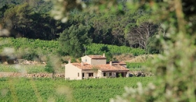 Gîte de séjour 'Le mas des candeliers de château roubine' à Lorgues