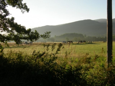Gîte rural à Estavar