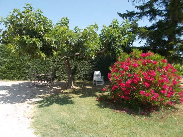 Photo Gîte rural Vaison la romaine Vacances à vaison la romaine