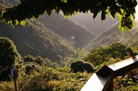 Gîte rural 'Masia La Morera' à El brull