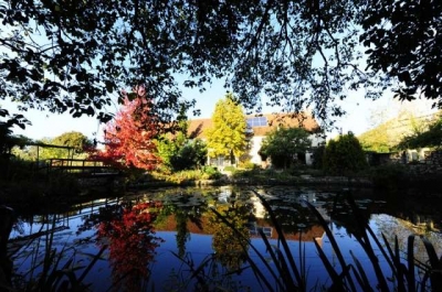 Chambre d'hôte 'La grenouillere' dans la Nievre