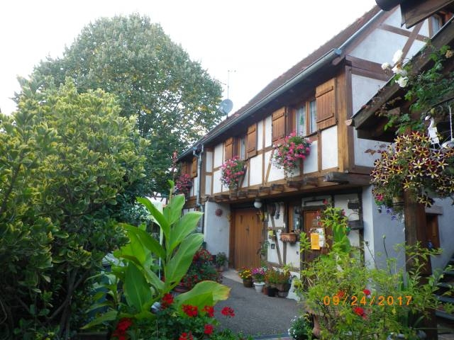 Gîte rural 'Gitelsass67' à Kintzheim