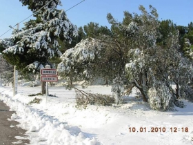 Studio / Appartement 'La terrasse Provence Les Alpilles Aureille 0490599743 POUR 3 PERSONNES' à Aureille