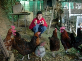 Gîte rural 'Refugi de Guilles' à Susqueda