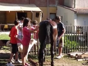 Gîte rural à Navacepedilla de corneja- avila