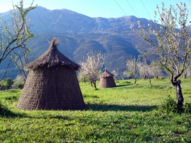 Gîte rural à Jimera de libar