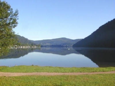 Gîte rural 'Location typiques vosges' dans les Vosges