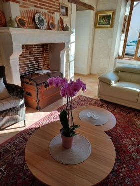 Gîte rural 'GITE LA BOURNILLIERE ' à Vicq sur nahon